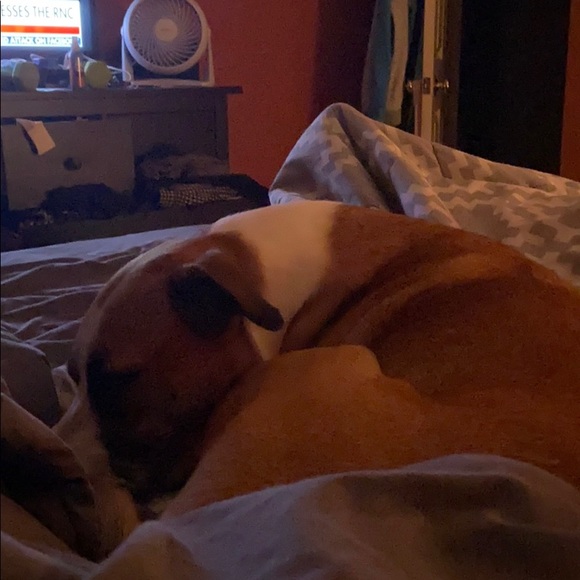 Meet your Posher, Sean - Picture 1 of 1